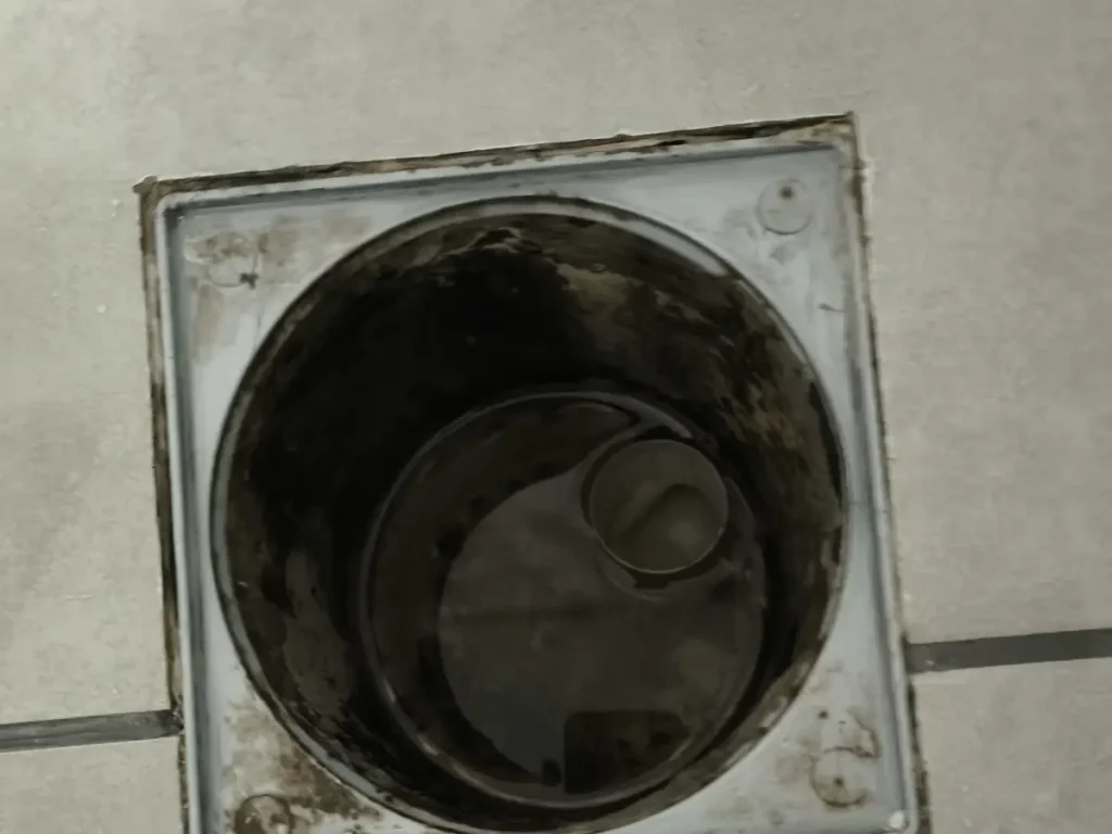 Ralo de banheiro aberto, sem grelha, mostrando a água do fecho hídrico